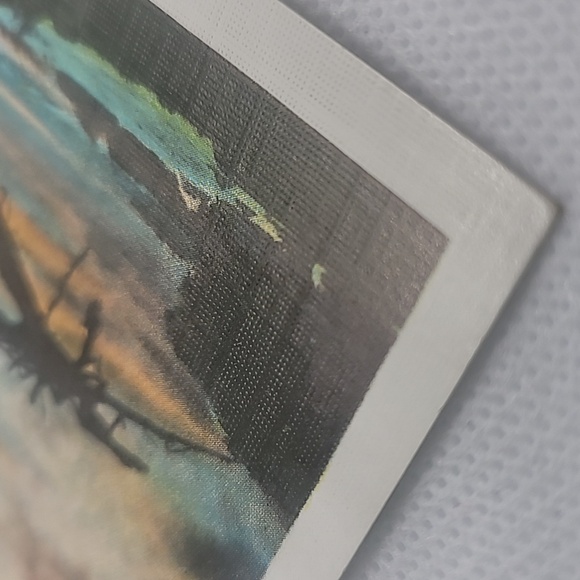 Cypress on 17 Mile Drive, Monterey Peninsula, California Vintage Postcard - Picture 6 of 6